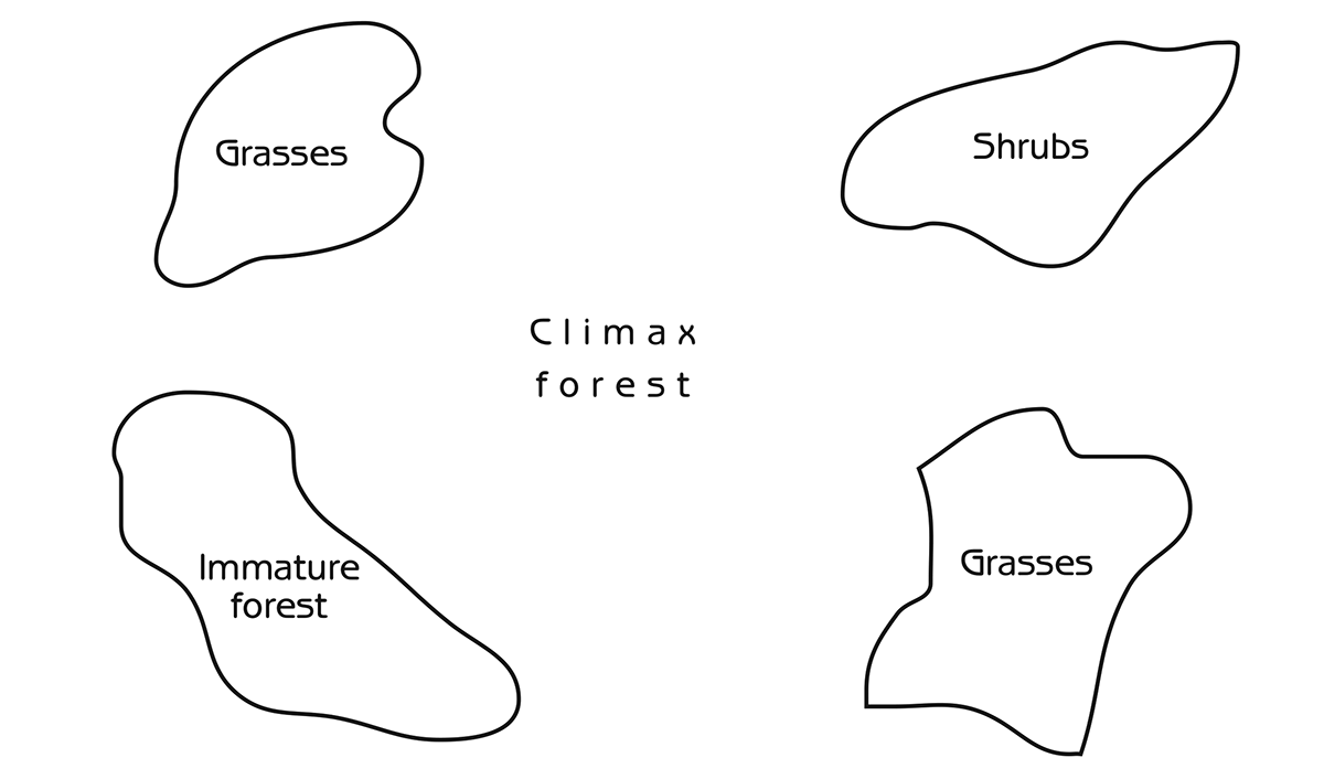 Figure 6.10 - Landscape mosaic of a forest without fire protection