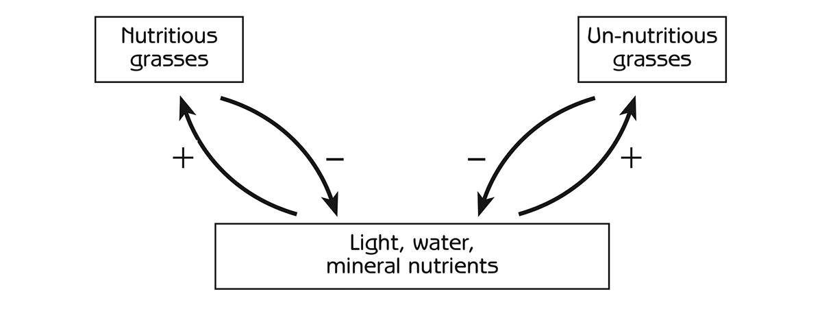 Figure 6.5 - Competition between grasses that are nutritious or not nutritious for sunlight, water and mineral nutrients