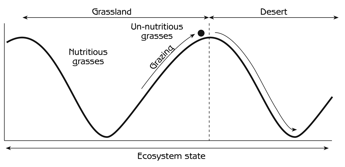 Figure 6.6 - Human-induced succession from grassland to desert caused by overgrazing