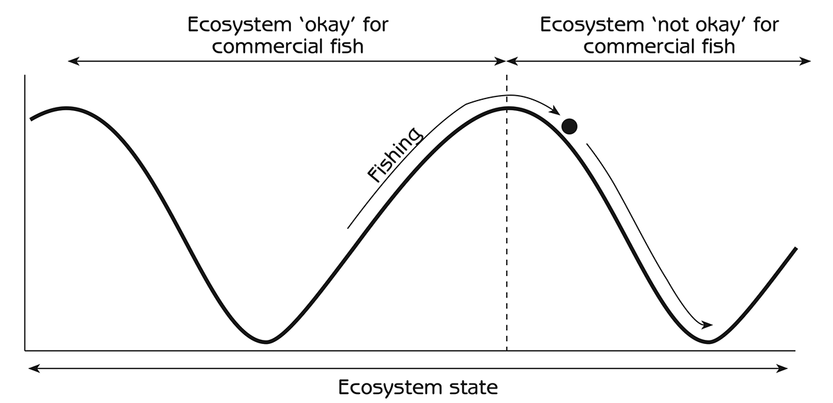 Figure 6.7 - Disappearance of commercial fish due to overfishing