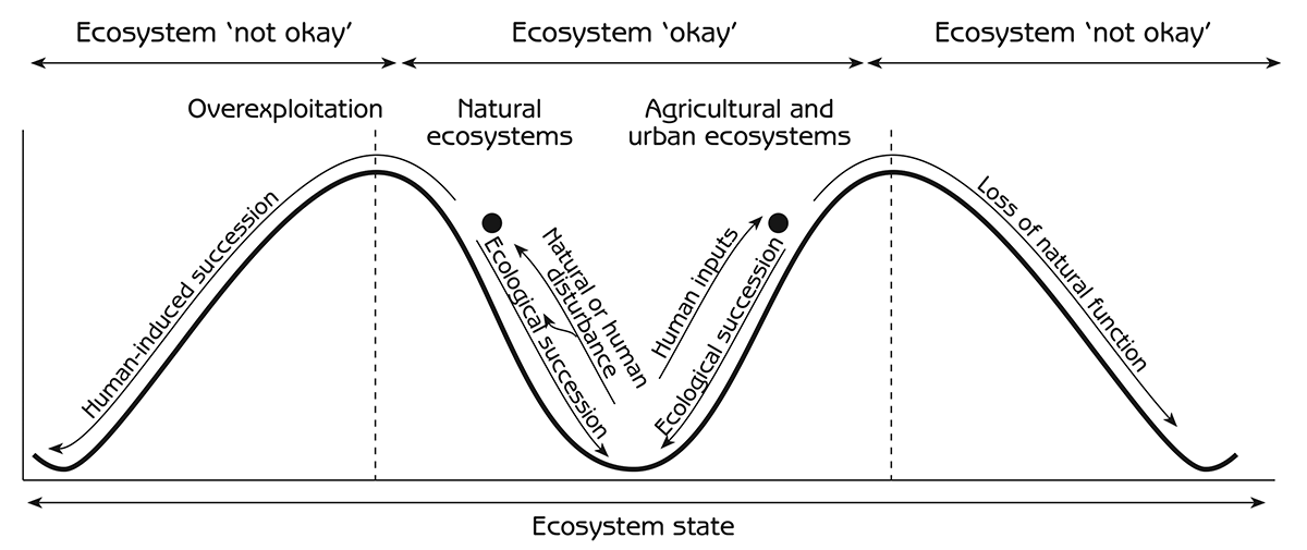 Figure 6.8 - The okay/not okay principle of human-induced succession