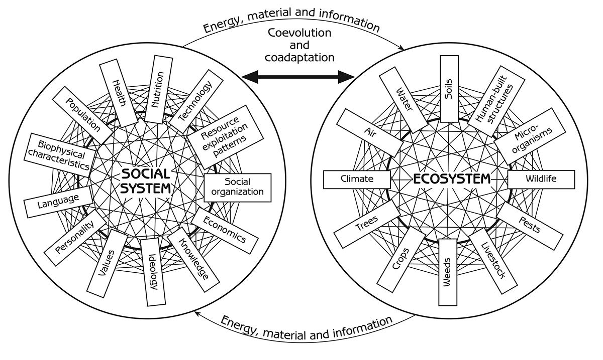 Figure 7.1 - Interaction, coevolution and coadaptation of the human social system with the ecosystem Source: Adapted from Rambo, A and Sajise, T (1985) An Introduction to Human Ecology Research on Agricultural Systems in Southeast Asia, University of the Philippines, Los Banos, Philippines