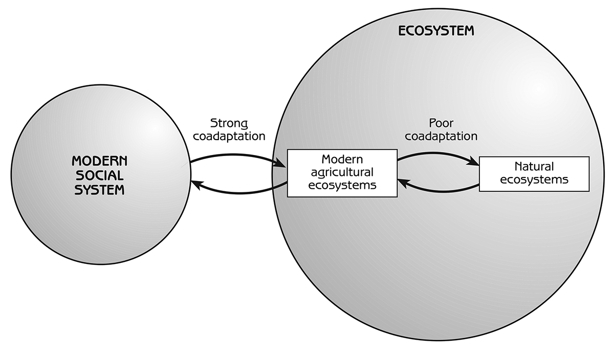 Figure 7.4 - Coadaptation of modern social sytems and ecosystems