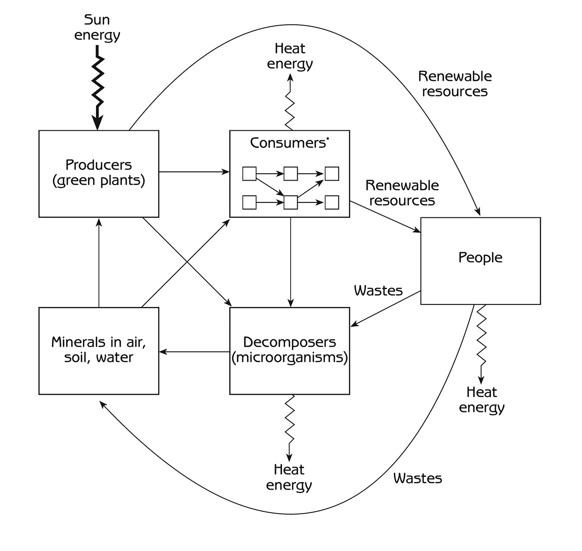 Figure 8.9 - Ecosystem services as material cycling in the ecosystem Note: * Consumers are animals (herbivores, predators, parasites) and pathogenic microorganisms (diseases), arranged in a food web.