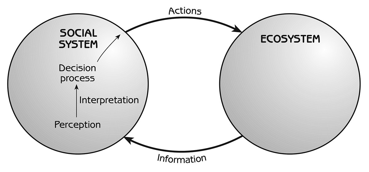 Figure 9.1 - The role of perceptions of nature in decisions affecting ecosystems