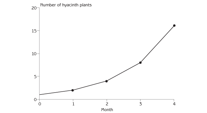 Figure 2.1 - Growth in the water hyacinth population during the first four months after introducing a single hyacinth to a lake