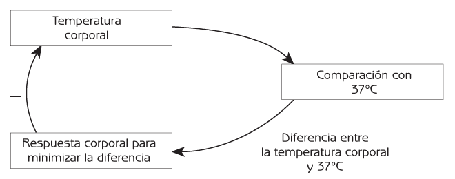 Figura 2.7 Control de la temperatura corporal por retroalimentación negativa. 