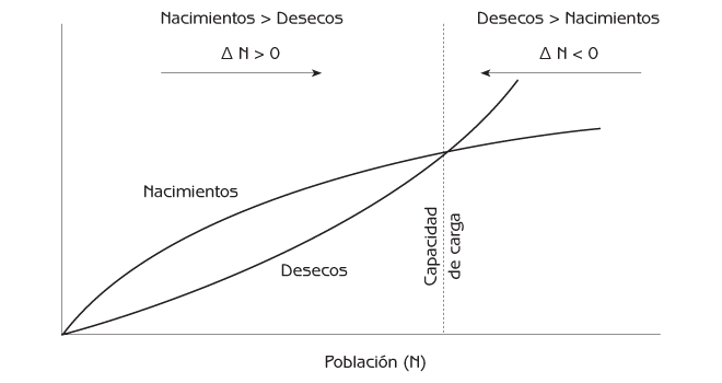 Figura 2.9 Relación entre cambios poblacionales y capacidad de carga. Nota: N = población ; ∆N = cambio en la población; ∆N = (total de nacimientos en una población) – (total de muertes en una población). Cuando los nacimientos > las muertes, ∆N>0 y la población aumenta. Cuando las muertes > los nacimientos, ∆N<0 y la población disminuye.