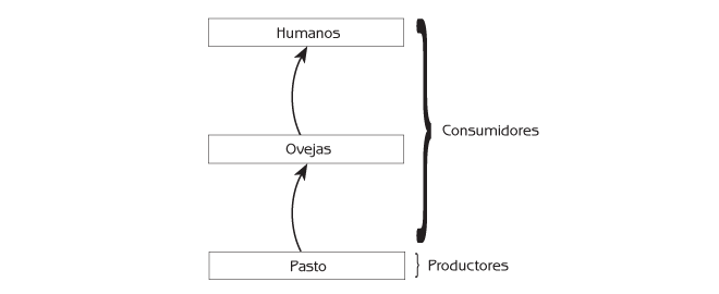 Figura 4.1 Cadena alimenticia inicial en el cuento de la isla.