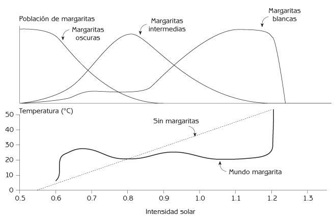 Figura 5.1 Cambio en las poblaciones de margaritas que mantienen la temperatura constante del Mundo Margarita dentro de un amplio rango de intensidad solar. Fuente: Adaptado de Lovelock, J (1979) Gaia: A New Look at Life on Earth.