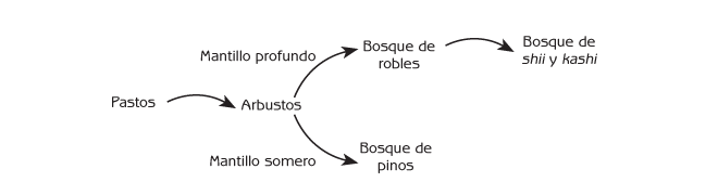 Figura 6.2 Sucesión ecológica en el occidente Japonés. Nota: Los sitios con suelos someros tienen una distinta sucesión de comunidades biológicas que los sitios con suelos más profundos.