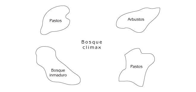 Figura 6.10 Mosaico paisajístico en la ausencia de protección anti-incendios.