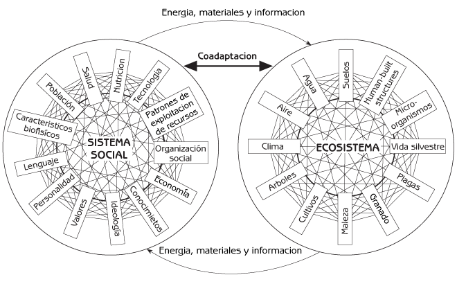 Figura 7.1 Interacción, coevolución y coadaptación del sistema social humano con el ecosistema. Fuente: Adaptado de Rambo, A. & Sjise, T. (1985) An Introduction to Human Ecology Research on Agricultural Systems in Southeast Asia, University of the Philippines, Los Banos, Philippines.