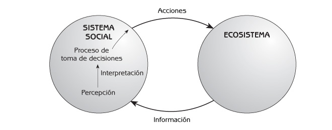 Figura 9.1 El papel de la percepción de la naturaleza en la toma de decisiones que afectan a ecosistemas.