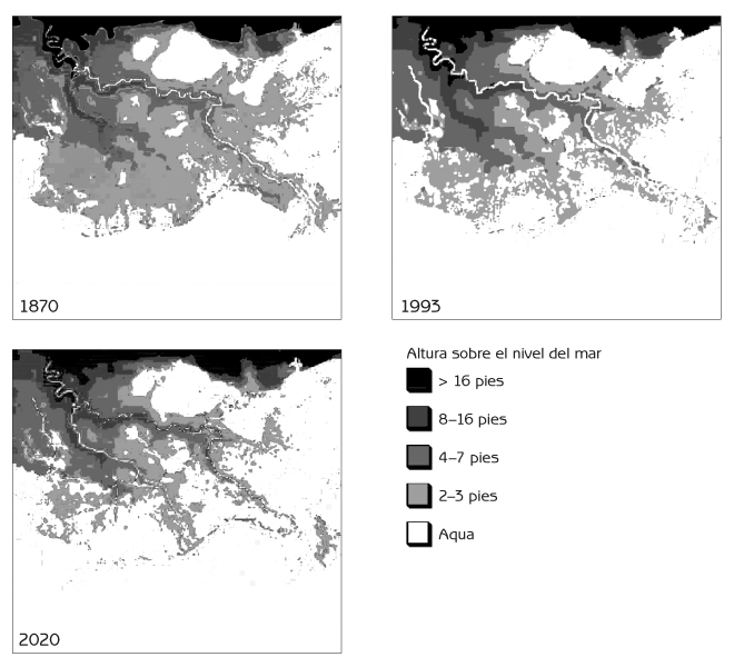 Figura 12.4 Cambio en la topografía del estero Barataria-Terrebonne durante los últimos 130 años, y proyección de los próximos 20 años de un modelo computacional. Fuente: datos de Barataria-Terrebonne National Estuary Program, Thibodaux, Louisiana.