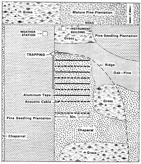 Figure 2 - Layout of the study area at the California site (Russell Reservation, near Lafayette, California). Antennas lying on the ground, which detected transmitters inside mice as they passed over, were at the locations labelled acoustic cable.