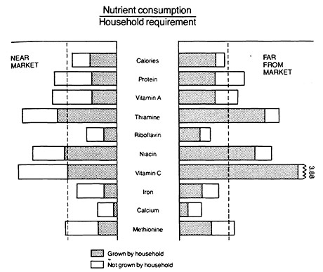 Figure 10. Average annual nutrient consumption by households near and far from market towns. The dashed line represents recommended nutrient intake.